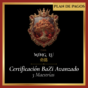 Certificación Bazi Avanzado (3 Maestrias) Plan de Pagos