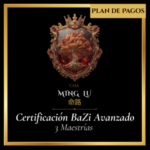 Certificación Bazi Avanzado (3 Maestrias) Plan de Pagos