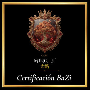 QI MEN EVOLUTIVO I - PROCESO DE SELECCIÓN