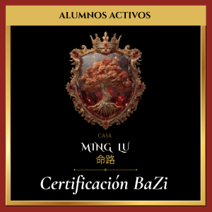 QI MEN EVOLUTIVO I - PROCESO DE SELECCIÓN