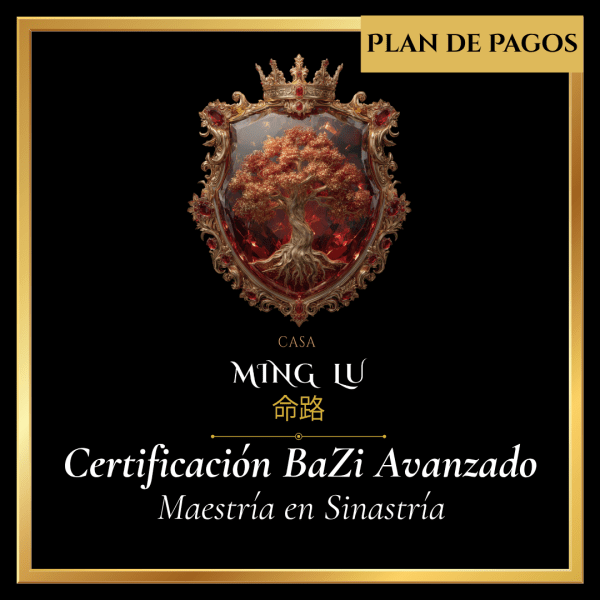 Copia (Santiago)CURSOS CASAS - TIAN JI- Maestria en Sinastria (final) Maestria BaZi en Sinastría